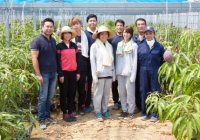 徳之島ふとり農園の方々とインターンシップ参加学生