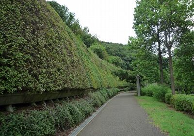 稲城市城山公園①