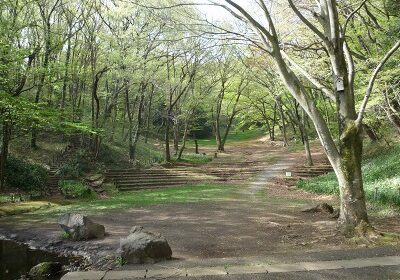 稲城市城山公園②