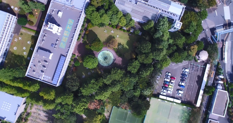 夏の武蔵野キャンパス上空より（右上の正門から続く木が黒松）