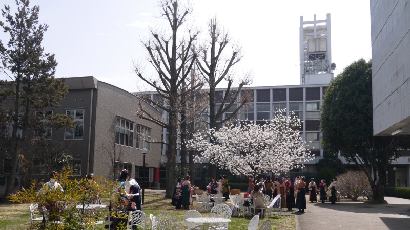 早咲きの桜は人気の撮影スポット