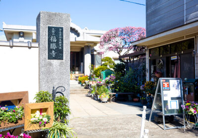 天龍山福勝寺は東京都文京区にある