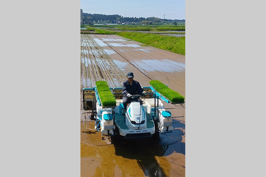 現在は秋田県にかほ市の横岡集落に住み、農業に励む