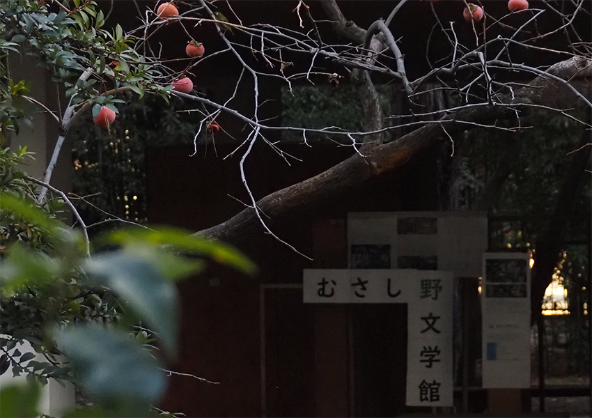 1月のむさし野文学館。と、柿。